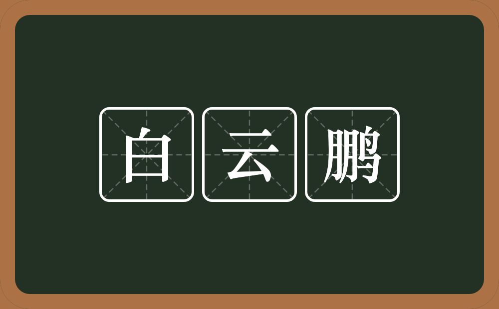 白云鹏的意思？白云鹏是什么意思？