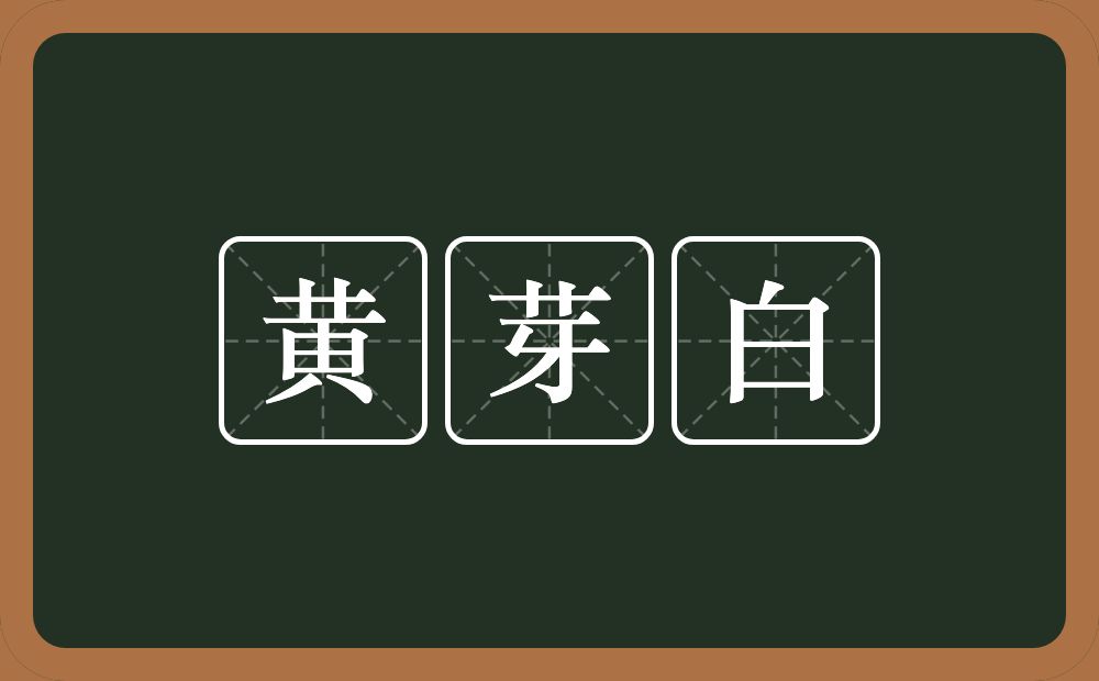 黄芽白的意思？黄芽白是什么意思？