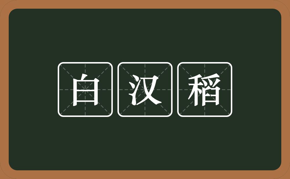 白汉稻的近义词/反义词