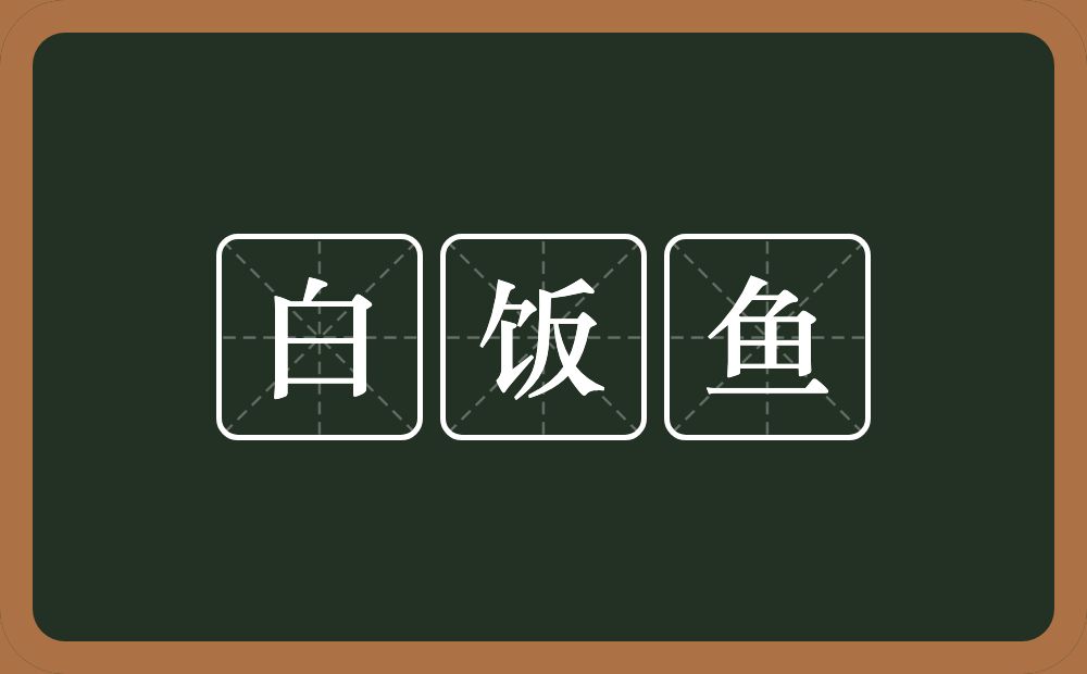 白饭鱼的近义词/反义词