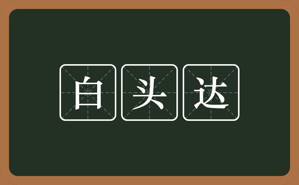 白头达的近义词/反义词