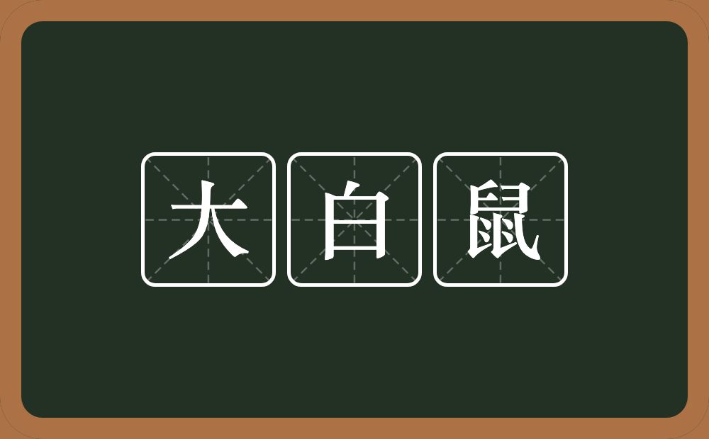 大白鼠的意思？大白鼠是什么意思？