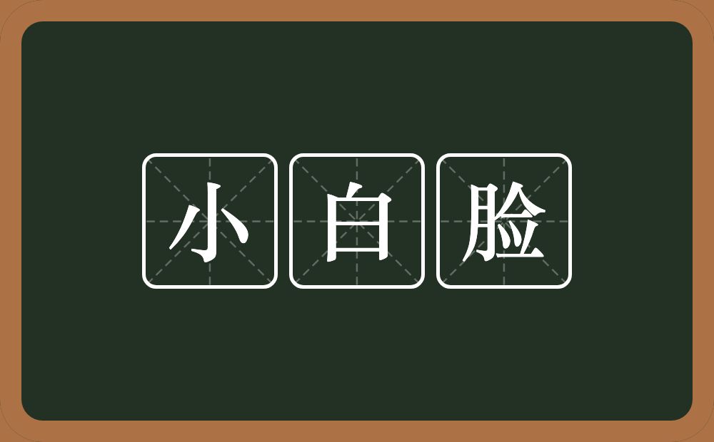 小白脸的意思？小白脸是什么意思？