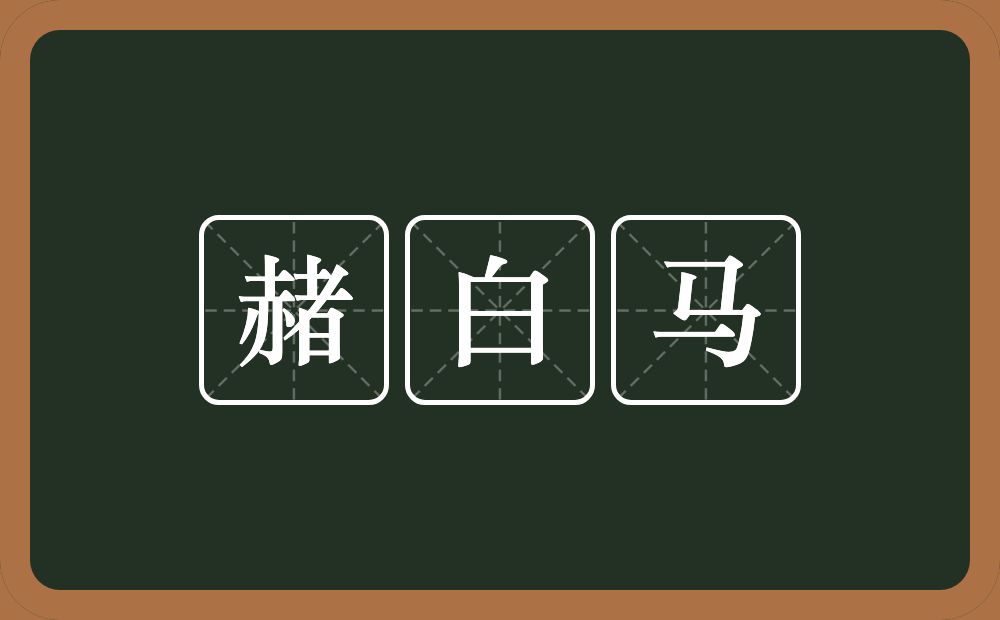 赭白马的近义词/反义词
