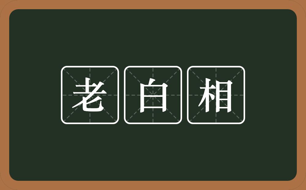 老白相的近义词/反义词