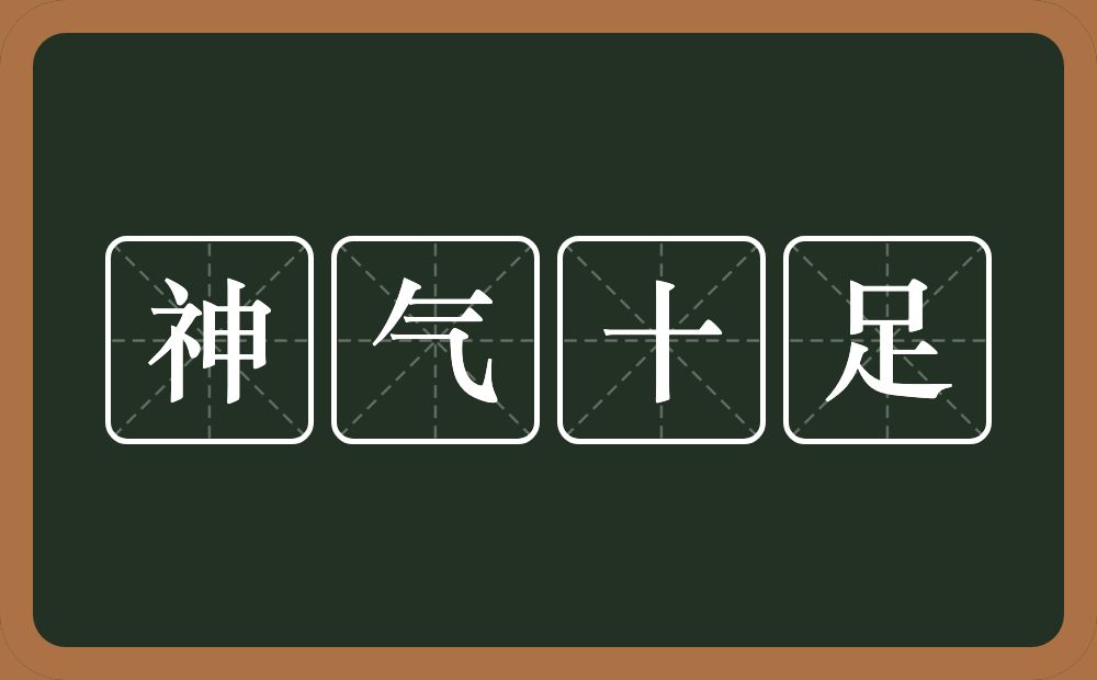 神气十足的意思？神气十足是什么意思？