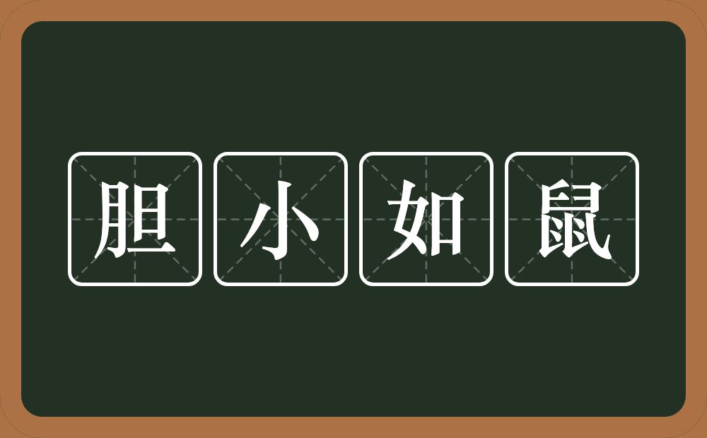 胆小如鼠的意思?胆小如鼠是什么意思?