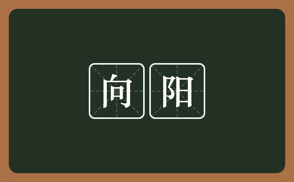 向阳的意思？向阳是什么意思？