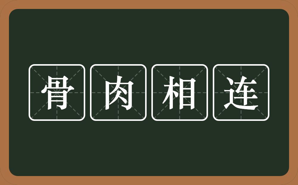 骨肉相连的意思?骨肉相连是什么意思?