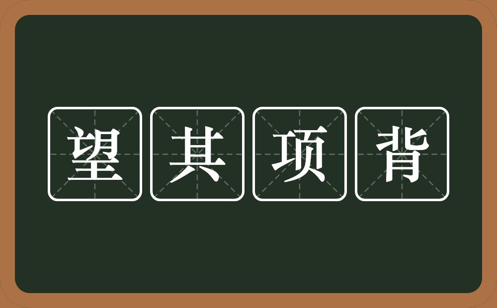 望其项背的意思?望其项背是什么意思?