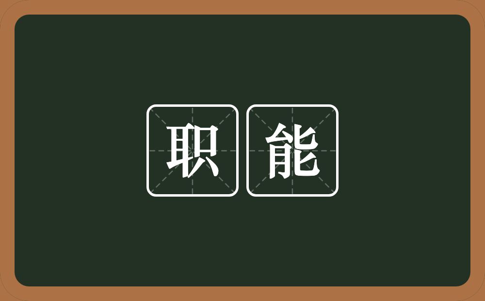 职能的意思？职能是什么意思？
