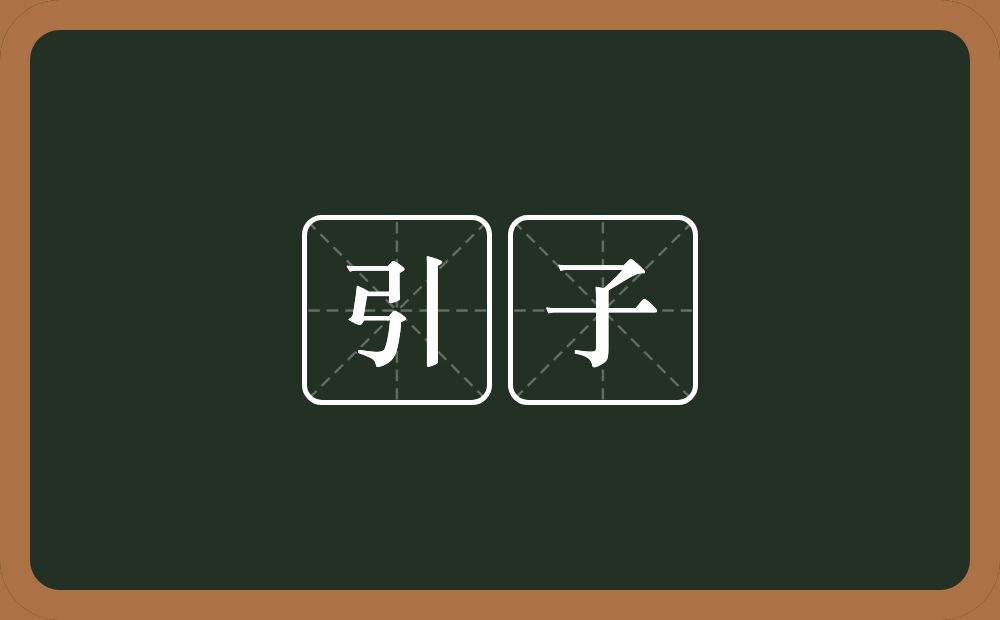 引子的意思？引子是什么意思？