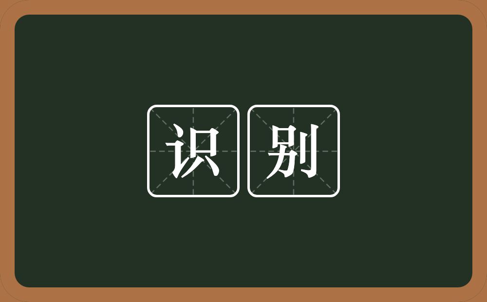 识别的意思?识别是什么意思?