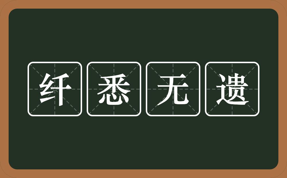 纤悉无遗的意思？纤悉无遗是什么意思？