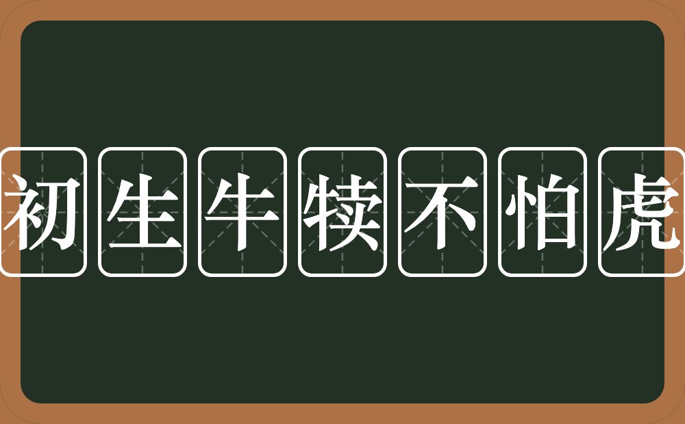 初生牛犊不怕虎的意思?初生牛犊不怕虎是什么意思?