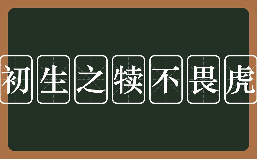 初生之犊不畏虎的意思?初生之犊不畏虎是什么意思?