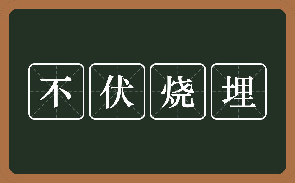 不伏烧埋的意思?不伏烧埋是什么意思?