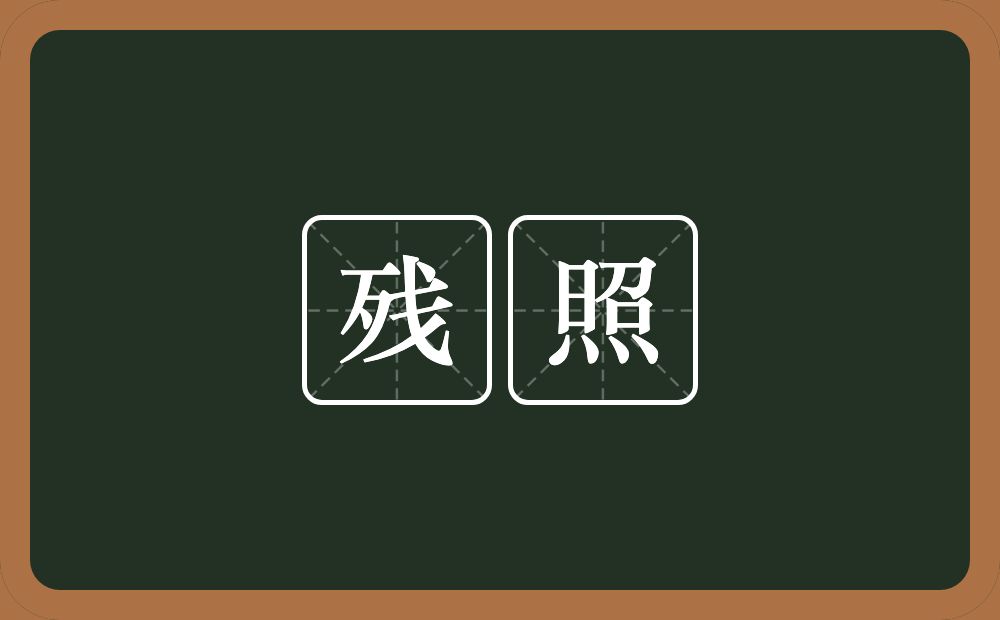残照的意思？残照是什么意思？