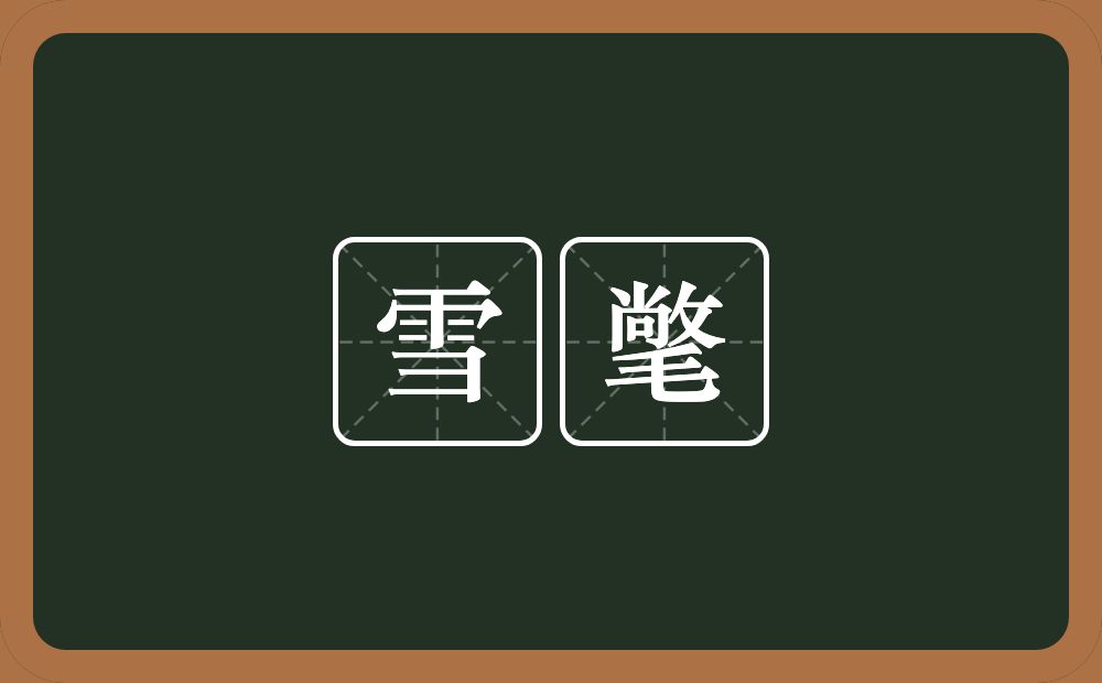 雪氅的近义词/反义词