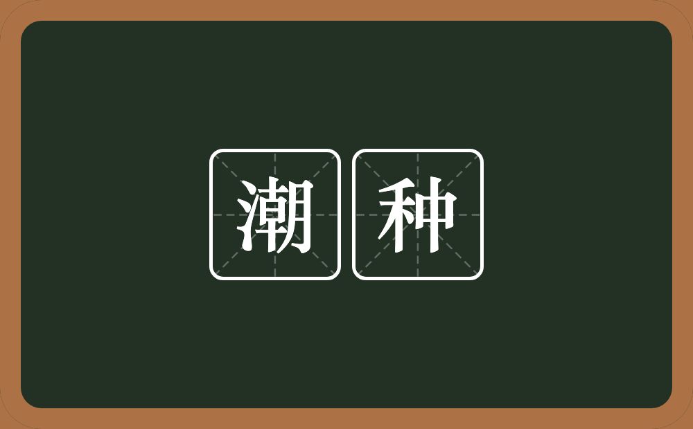 潮种的意思？潮种是什么意思？