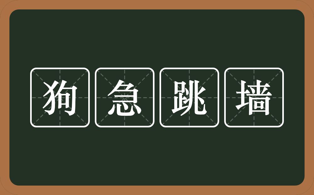 狗急跳墙的意思?狗急跳墙是什么意思?