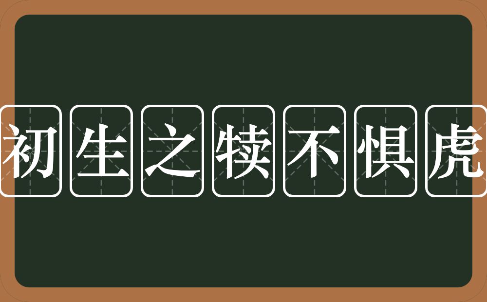 初生之犊不惧虎的意思?初生之犊不惧虎是什么意思?