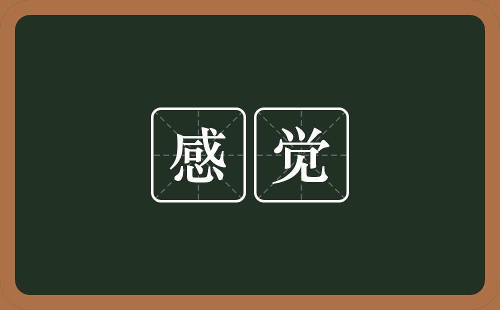 感觉的意思?感觉是什么意思?