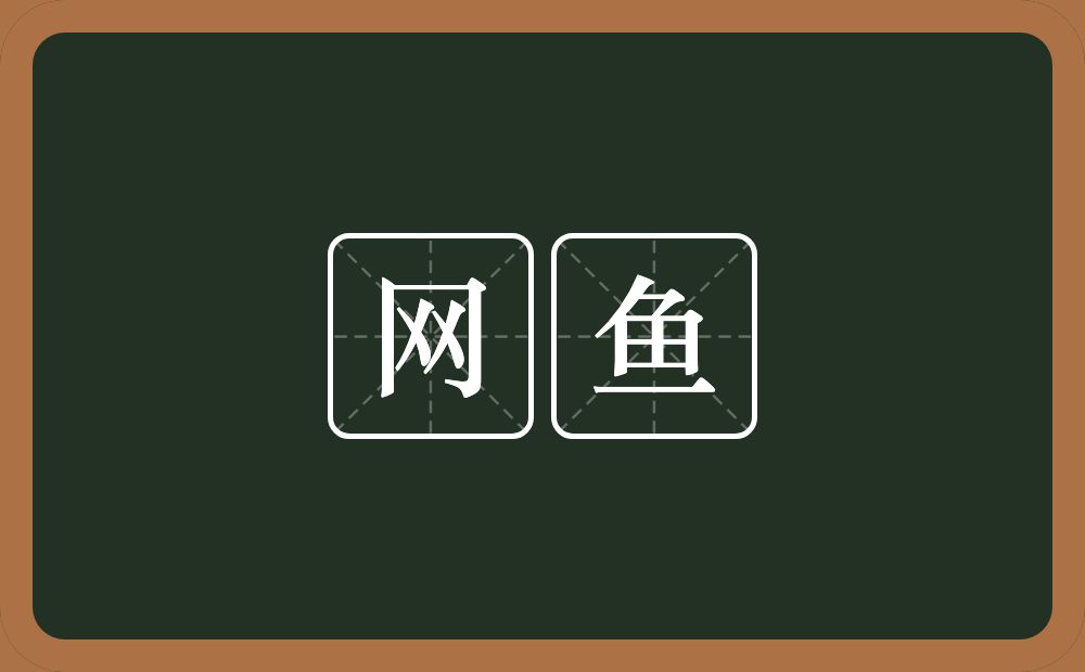 网鱼的意思？网鱼是什么意思？