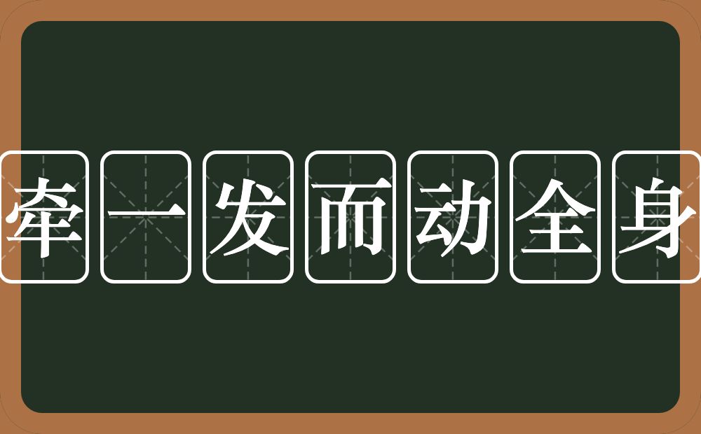 牵一发而动全身的意思?牵一发而动全身是什么意思?
