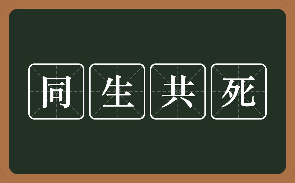 同生共死的意思?同生共死是什么意思?