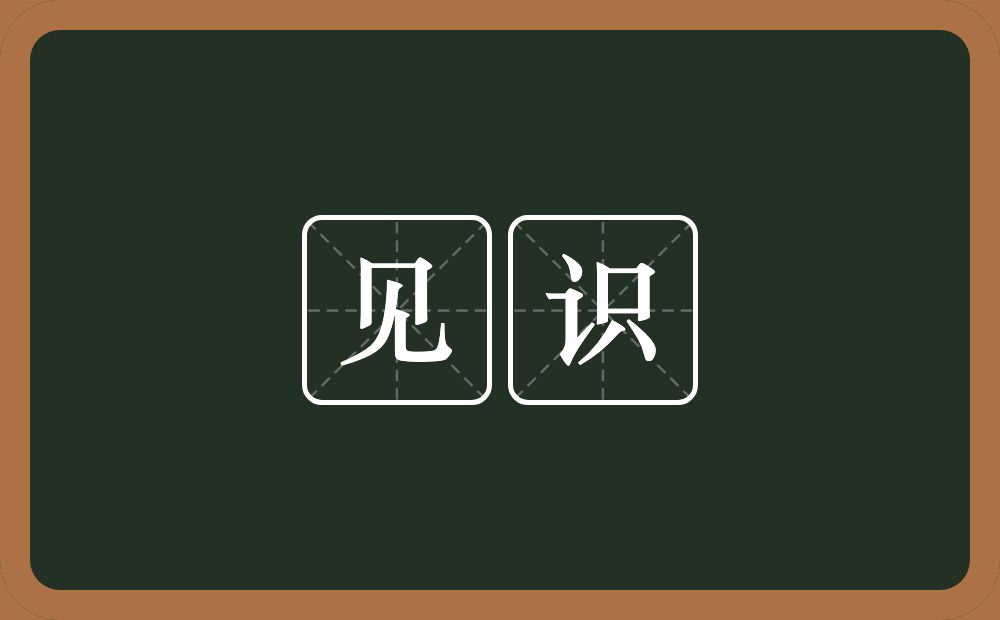 见识的意思?见识是什么意思?