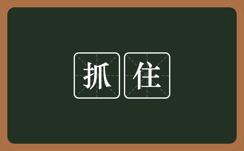 抓住的意思?抓住是什么意思?