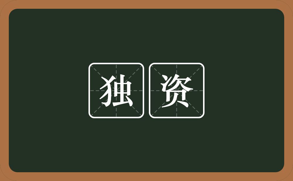 独资的意思？独资是什么意思？
