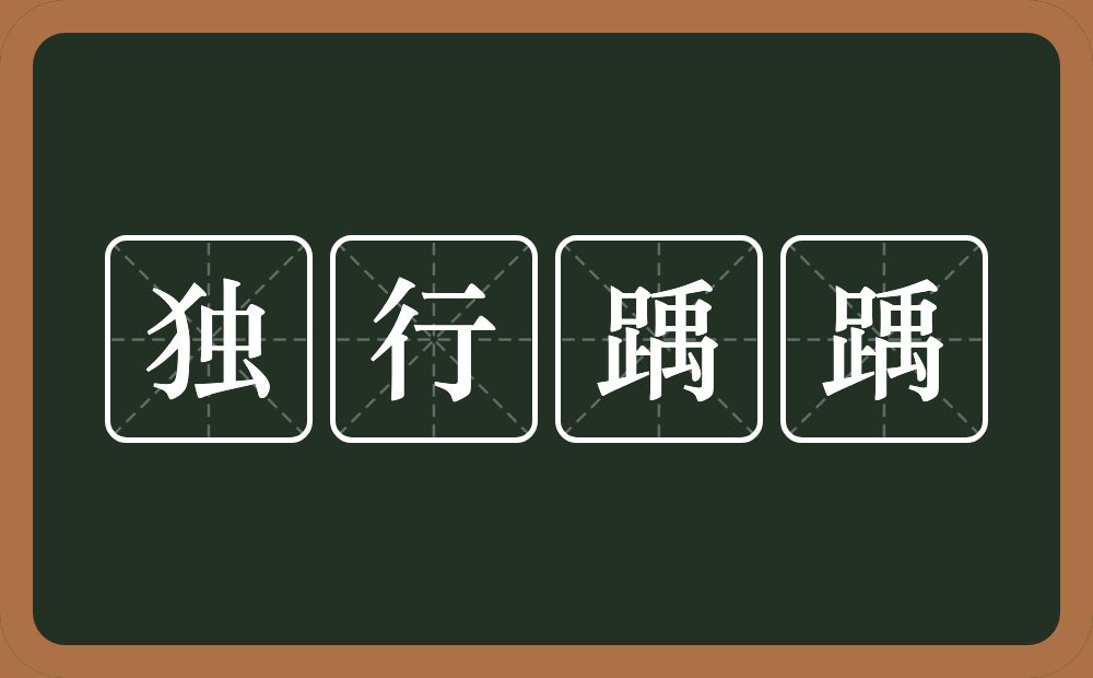 独行踽踽的意思？独行踽踽是什么意思？
