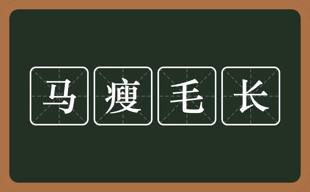 马瘦毛长的意思?马瘦毛长是什么意思?