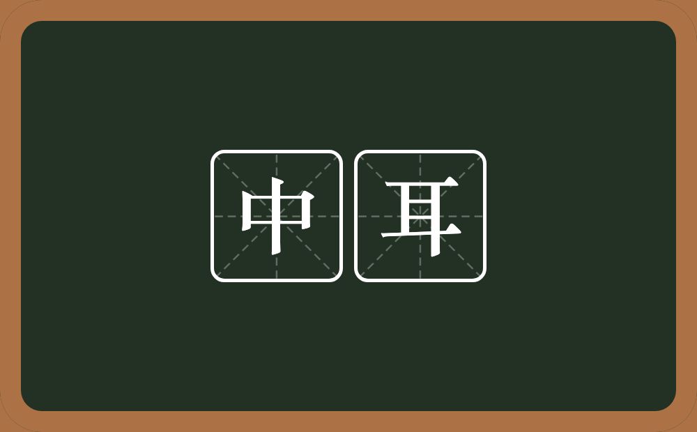 中耳的意思？中耳是什么意思？