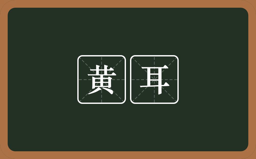 黄耳的意思?黄耳是什么意思?