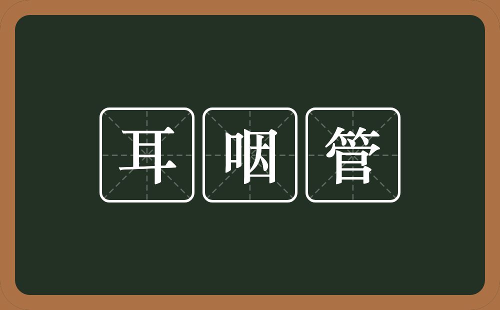 耳咽管的意思？耳咽管是什么意思？