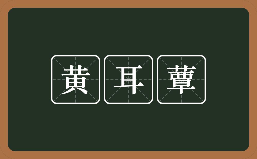 黄耳蕈的意思？黄耳蕈是什么意思？