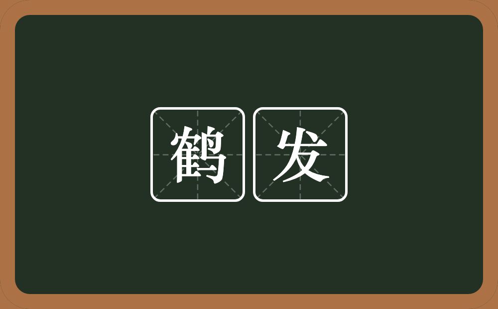 鹤发的意思？鹤发是什么意思？