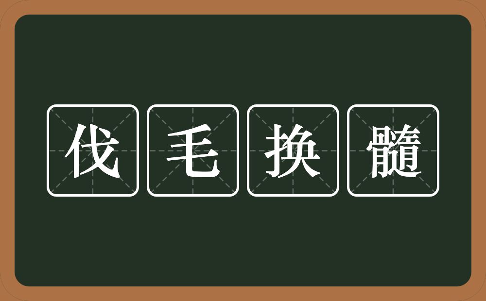 伐毛换髓的意思？伐毛换髓是什么意思？