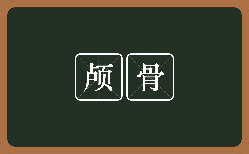 颅骨的意思？颅骨是什么意思？