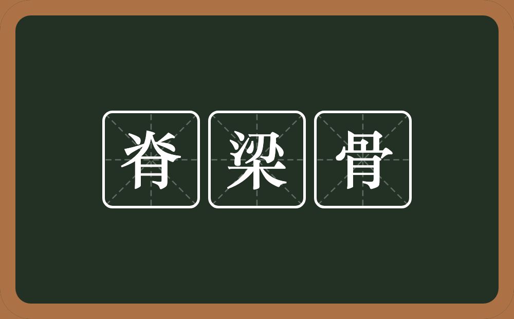 脊梁骨的意思?脊梁骨是什么意思?