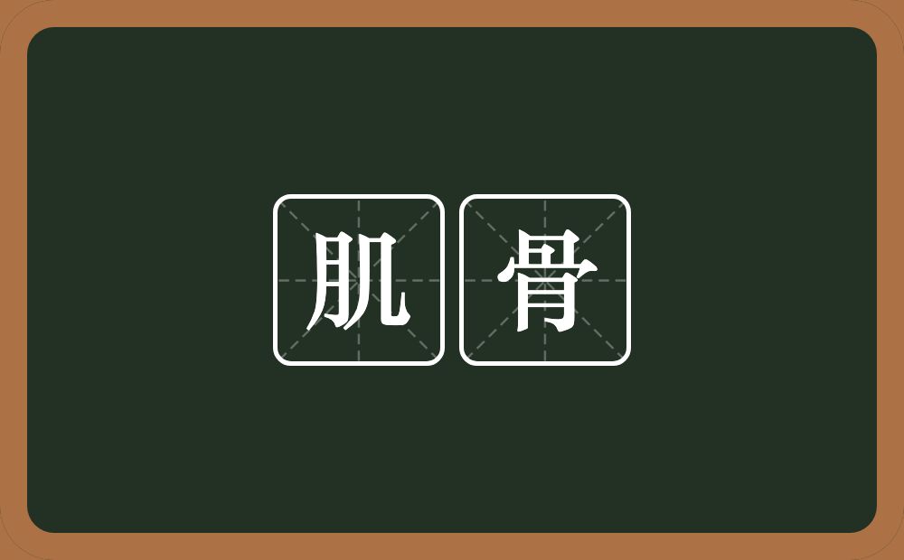 肌骨的意思?肌骨是什么意思?