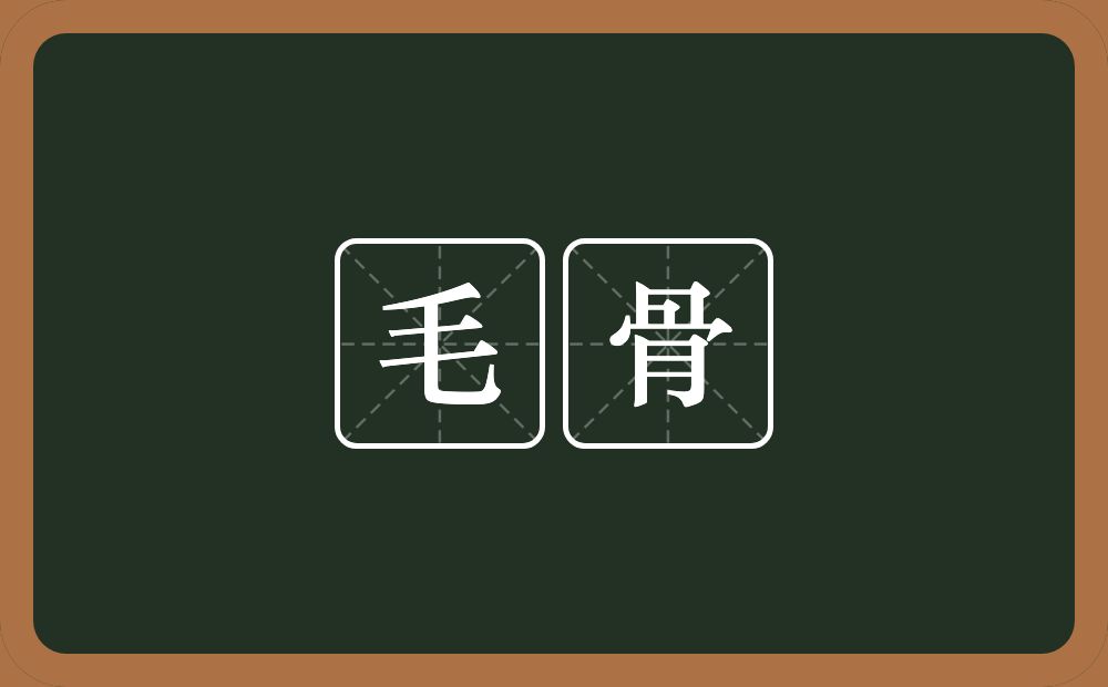 毛骨的意思?毛骨是什么意思?