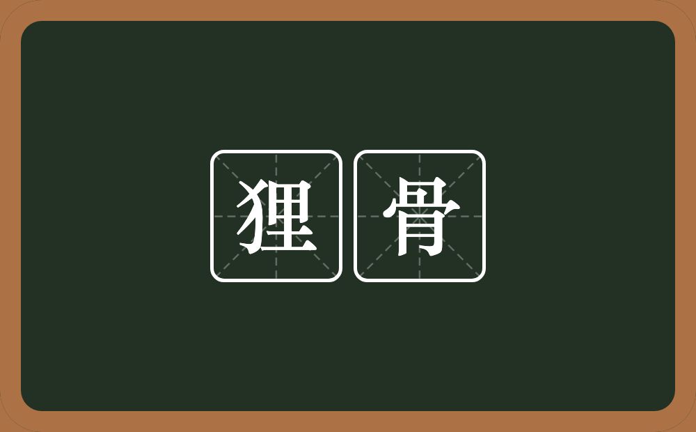 狸骨的意思？狸骨是什么意思？