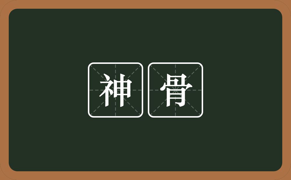 神骨的意思？神骨是什么意思？