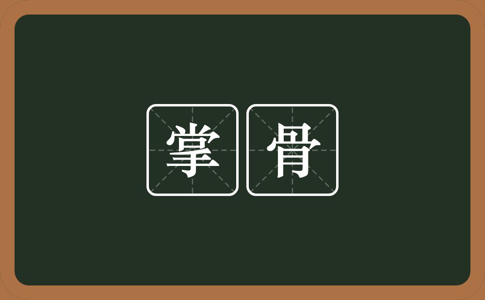 掌骨的意思？掌骨是什么意思？