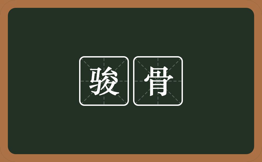 骏骨的意思?骏骨是什么意思?