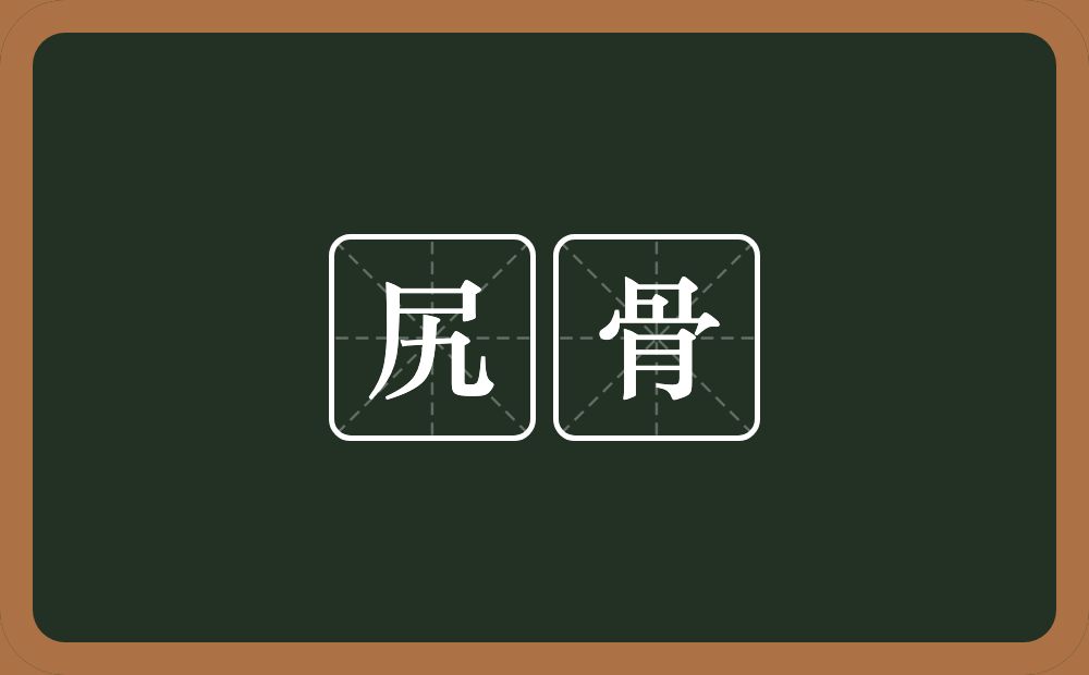 尻骨的意思？尻骨是什么意思？